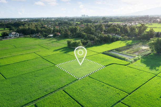 3 Katha Residential Plot Near Gar-Ali, Jorhat Town