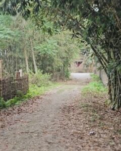 2 Katha Plot for Sale in Hatichungi – Just 100 Metres from Na-Ali