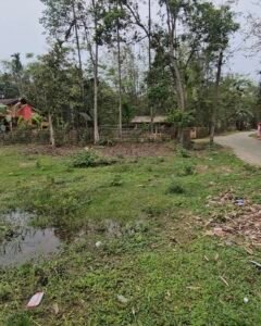 2.5 Katha Land for Sale in Baghmoria Gaon, Jorhat