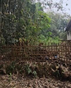 2 Katha Plot for Sale in Hatichungi – Just 100 Metres from Na-Ali