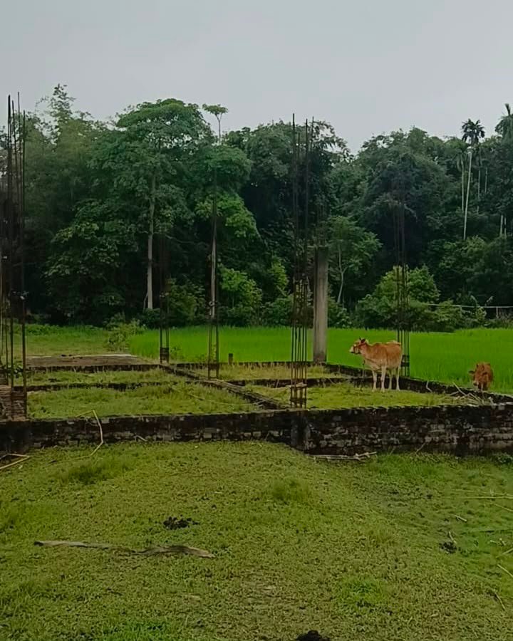 Plot for Sale in Komargaon, Moujadar Road