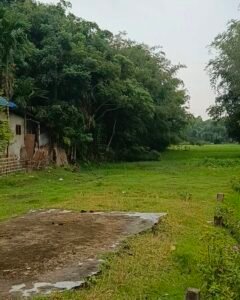 Plot for Sale in Komargaon, Moujadar Road