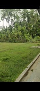 Farmhouse for Sale in Moran Gaon