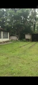 Farmhouse for Sale in Moran Gaon