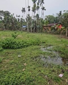 2.5 Katha Land for Sale in Baghmoria Gaon, Jorhat