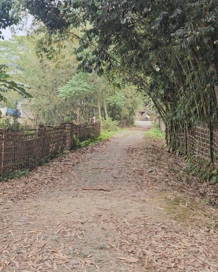 2 Katha Plot for Sale in Hatichungi – Just 100 Metres from Na-Ali
