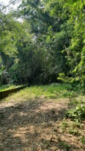 1 Katha Land for Sale in Jorhat – Plot at No. 1 Bamun Gaon