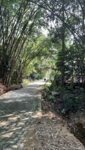 1 Katha Land for Sale in Jorhat – Plot at No. 1 Bamun Gaon
