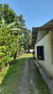 Residential Property for Sale in Dergaon, Assam – 2 Houses on 14,600 Sq. Ft.