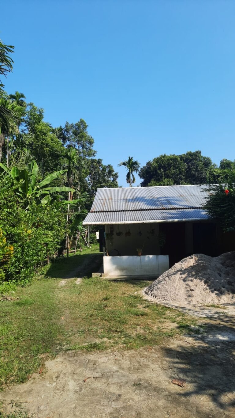 Residential Property for Sale in Dergaon, Assam – 2 Houses on 14,600 Sq. Ft.